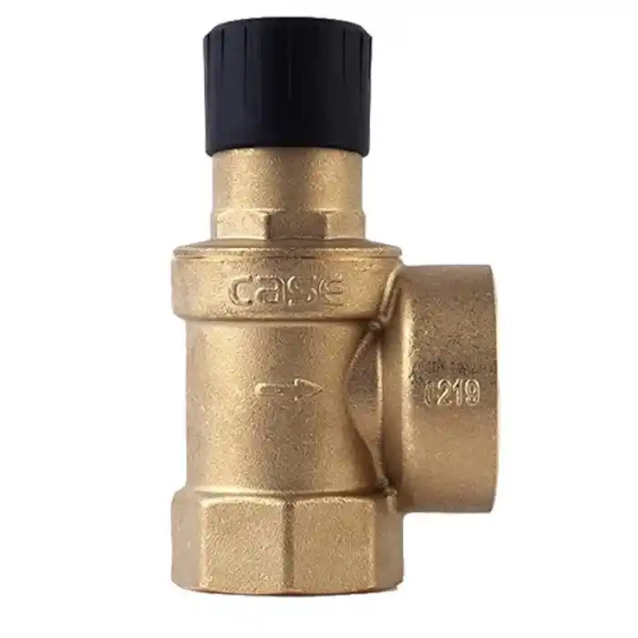 Case 7321 1 1/4 İç Dişli Emniyet Ventili 2,5-6 Bar