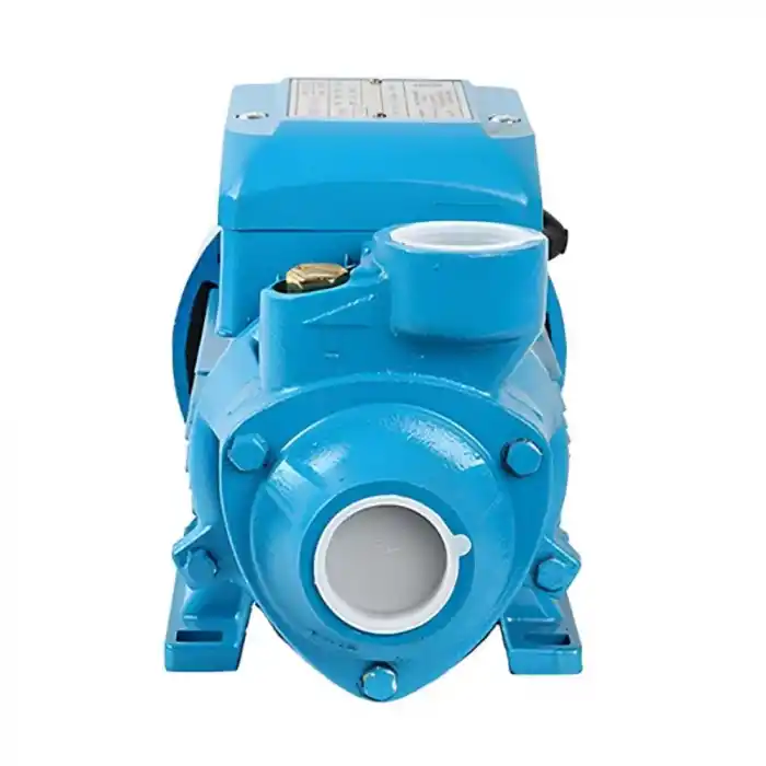 Duffmart QB60 Periferik Su Pompası