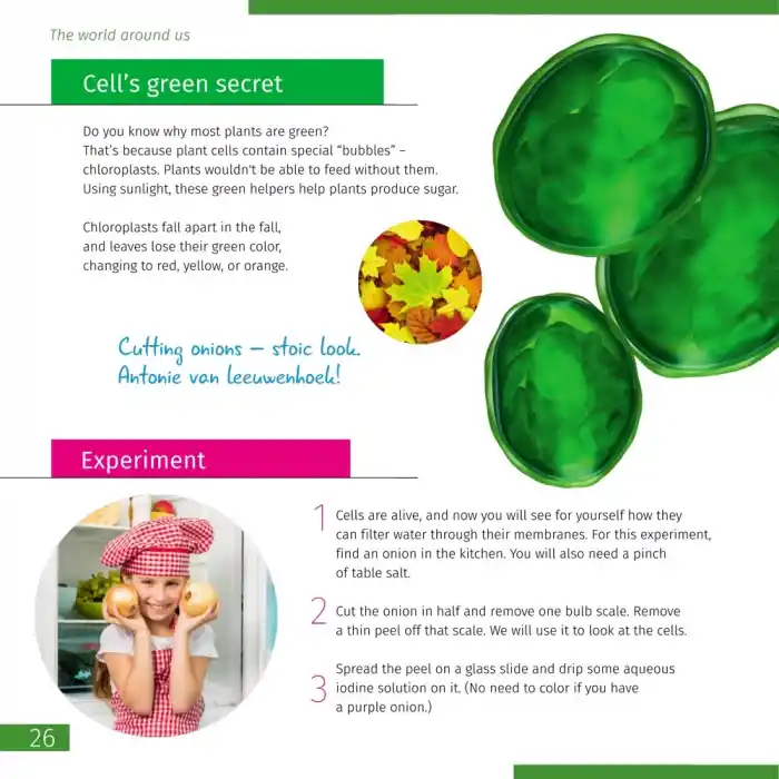 Görünmez Dünya. Bilgilendirici kitap