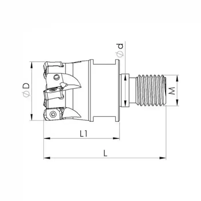 Heikenei VT 25x4 M12 BNGX 10T3 Vidalı Tarama Başlığı (High Feed) PRMT