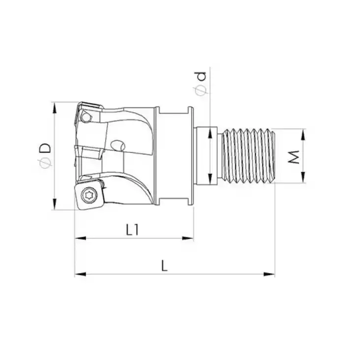 Heikenei VT BMR 20x2 M10 SOMW 0803 Vidalı Tarama Başlığı (High Feed) SNG