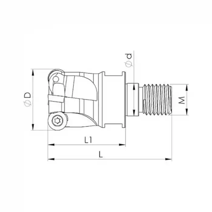 Heikenei VT EMR 20x2 M10 RPMW 1003 Vidalı Tarama Başlığı ISO