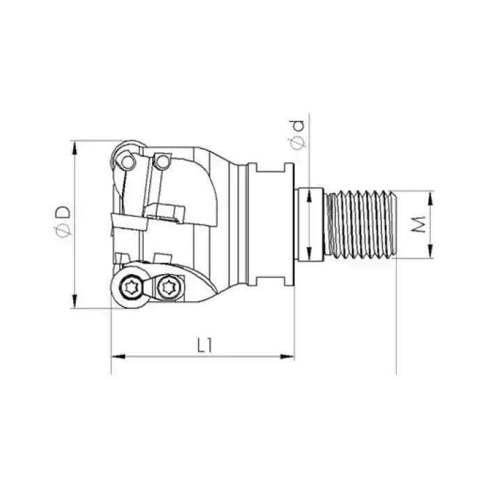 Heikenei VT EMR 25x2 M12 RD..12T3 Vidalı Tarama Başlığı ISO
