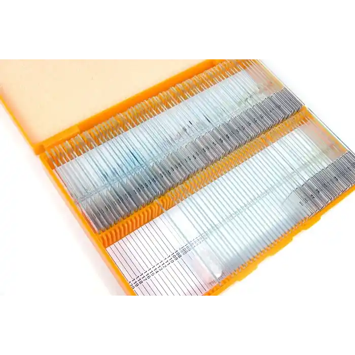 Levenhuk N80 NG “Her şeyi görün” Slayt Seti