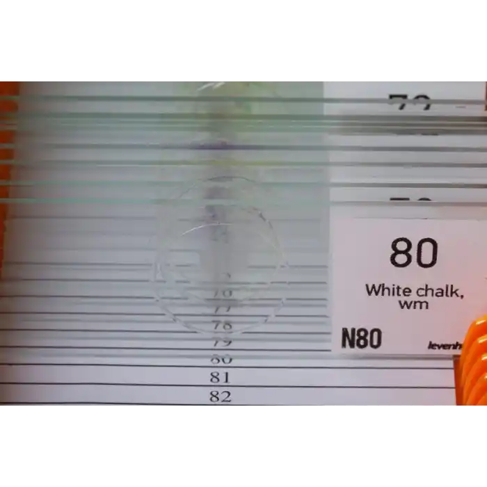 Levenhuk N80 NG “Her şeyi görün” Slayt Seti