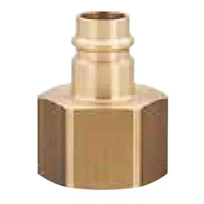 Lüdecke ESG 10 NI 1 inç Dişi Uç