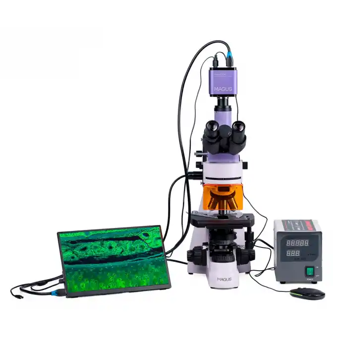MAGUS Lum D400 LCD Floresan Dijital Mikroskop