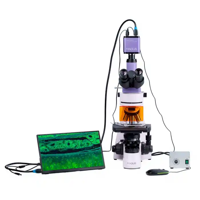 MAGUS Lum D400L LCD Floresan Dijital Mikroskop