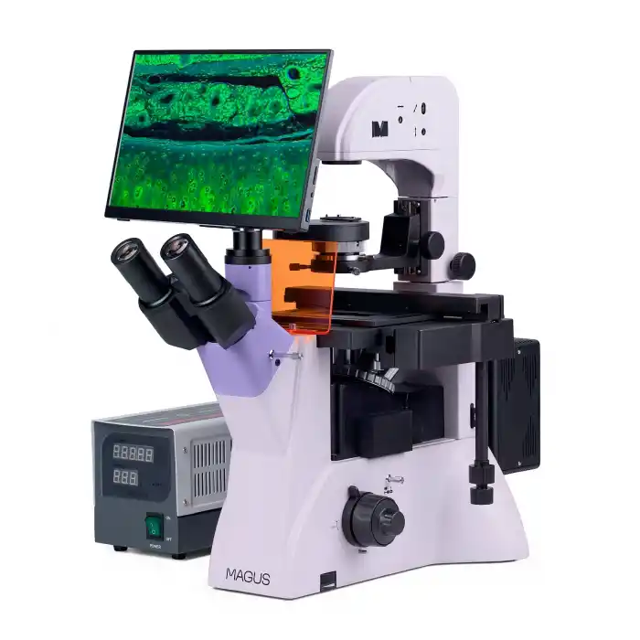 MAGUS Lum VD500 LCD Floresan İnverted Dijital Mikroskop