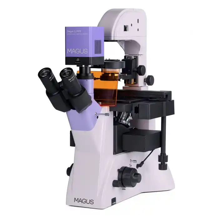 MAGUS Lum VD500L Floresan İnverted Dijital Mikroskop
