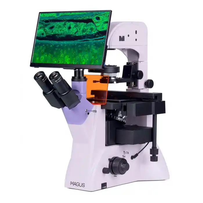 MAGUS Lum VD500L LCD Floresan İnverted Dijital Mikroskop
