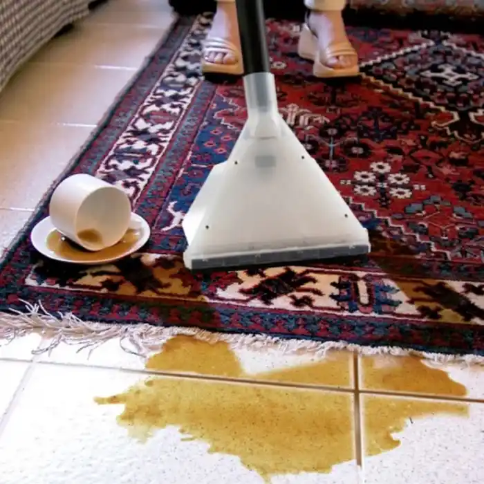 Powerwash PW60-2CS 3 Motorlu Halı Koltuk Yıkama Makinesi