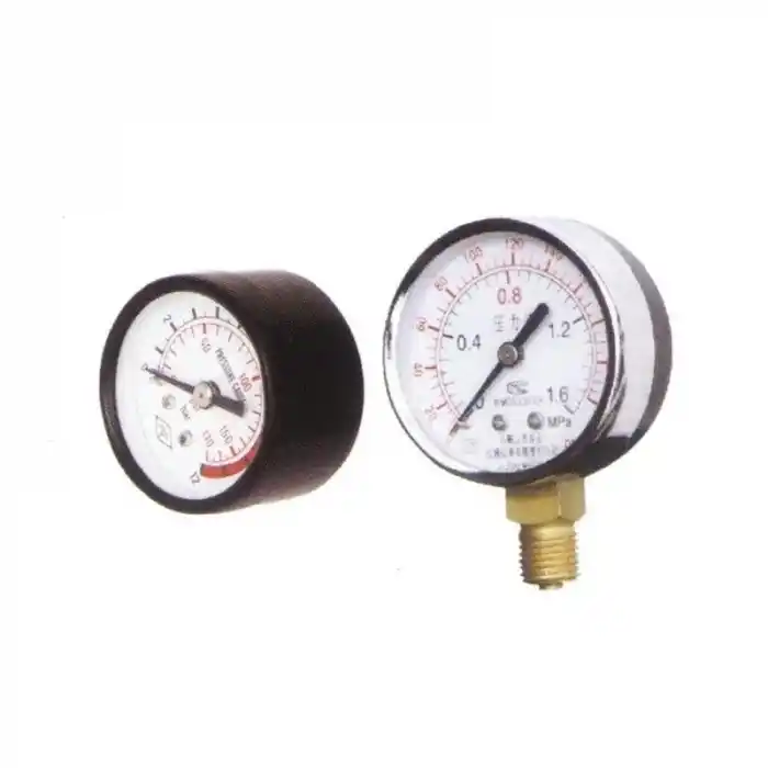 Rain Pump TPS-SS Manometre