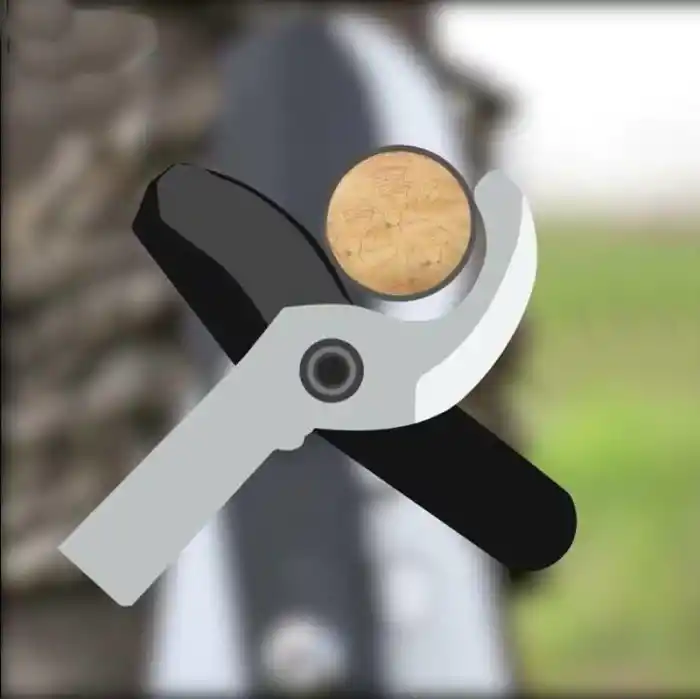 Total THT1527608 Dal Budama Makası