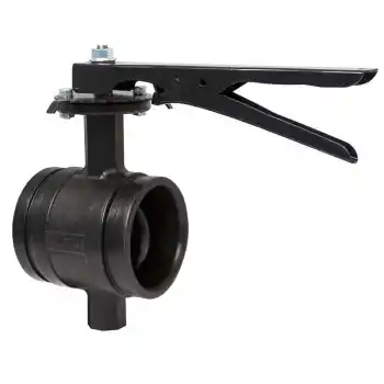 ETM DN80 Kaplin Kelepçe Bağlantılı Kelebek Vana 3