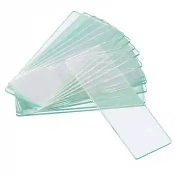 Levenhuk G50 2H 50 Adet Çift Boşluklu Boş Slayt Seti