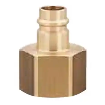 Lüdecke ESG 10 NI 1 inç Dişi Uç