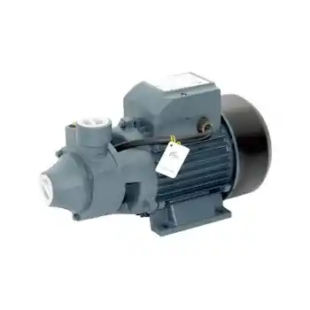Rain Pump QB80 Santrifuj Pompa