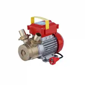 Rover 35961000 75 Lt/Dk 220 V Elektrikli Paletli Yağ Transfer Pompası