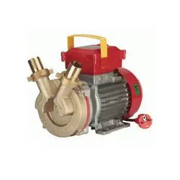 Rover Bem 30030000 83 Lt/Dk 220 V Elektrikli Paletli Yağ Transfer Pompası