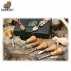 BeaverCraft SC05 Avuç İçi Ahşap Oyma Iskarpela Seti 6 Parça