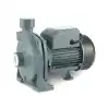 Rain Pump CPM146 0.55kw 0.75hp Santrifuj Pompa