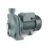Rain Pump CPM158 Santrifuj Pompa