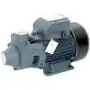 Rain Pump QB70 Santrifuj Pompa