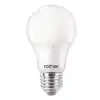 Rohter RTL01103 Led Lamba 9W E27 A60 6500K