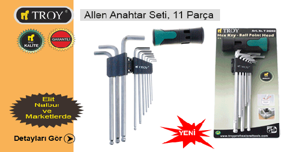 Troy 26202 Alyan Anahtar Seti (Bilya başlı, 11 Parça)