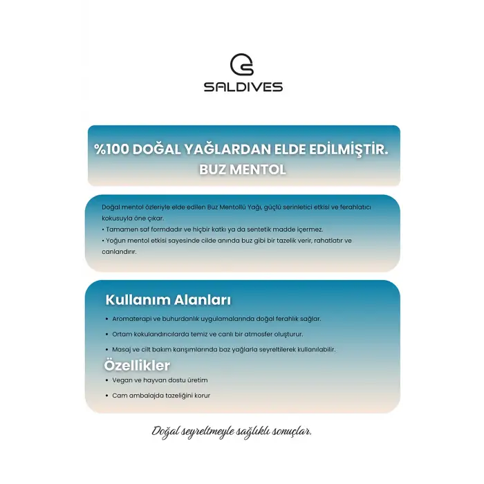 Buz Mentol 20 ml