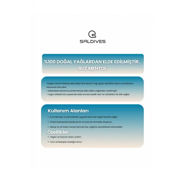 Buz Mentol 20 ml 4 Adet