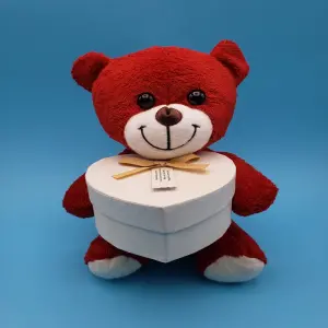 Kırmızı Kalp Kutulu Ayı