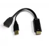 Beek HDMI <-> DisplayPort (DP++) Adaptör, HDMI Tip A Erkek Giriş,  DP Dişi Çıkış, DP 1.2, 4KX2K@30Hz çözünürlük