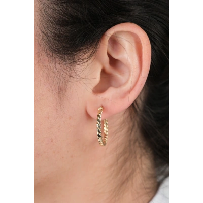 14 Ayar Altın Burgu Küpe 829