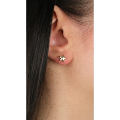 14 Ayar Altın Yıldız Vidalı Küpe