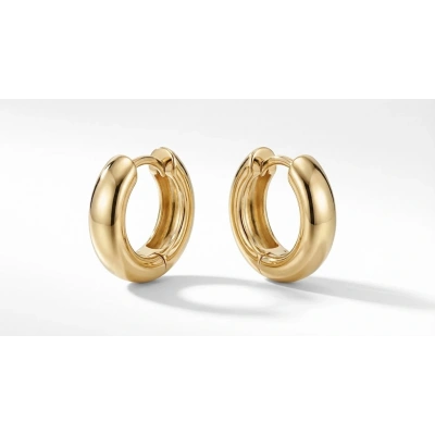 14 Ayar Altın Halka Küpe 577