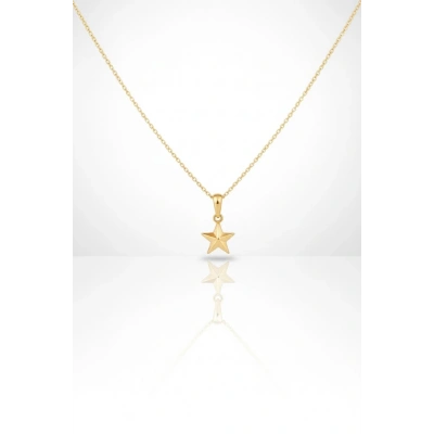 14 Ayar Altın Minimal Yıldız Kolye 651