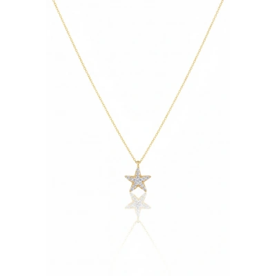 14 Ayar Altın Taşlı Yıldız Kolye 630