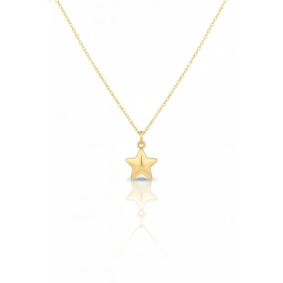 14 Ayar Altın Yıldız Kolye 544