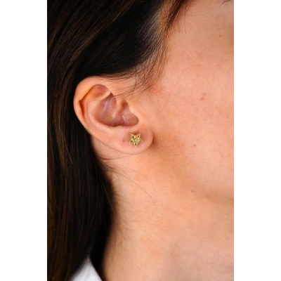 14 Ayar Altın Yıldız Küpe 680