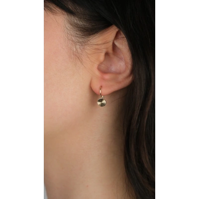 14 Ayar Altın Tek Pırpırlı Klipsli Küpe 1017