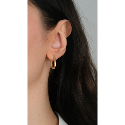 14 Ayar Altın Şekilli Gizli Kilit Küpe 974