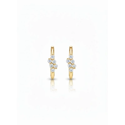 14 Ayar Altın Taşlı Küpe 799