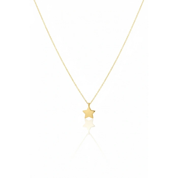 14 Ayar Altın Minimal Yıldız Kolye 608