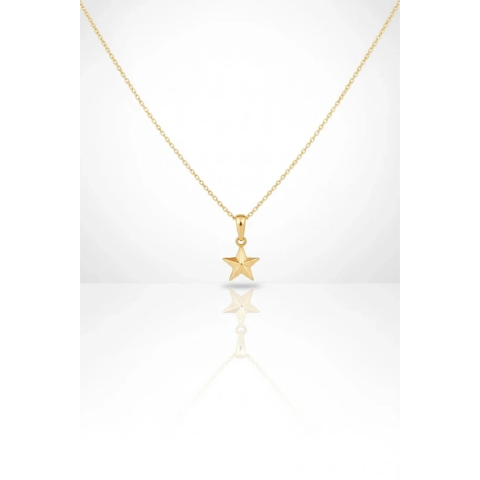 14 Ayar Altın Minimal Yıldız Kolye 651