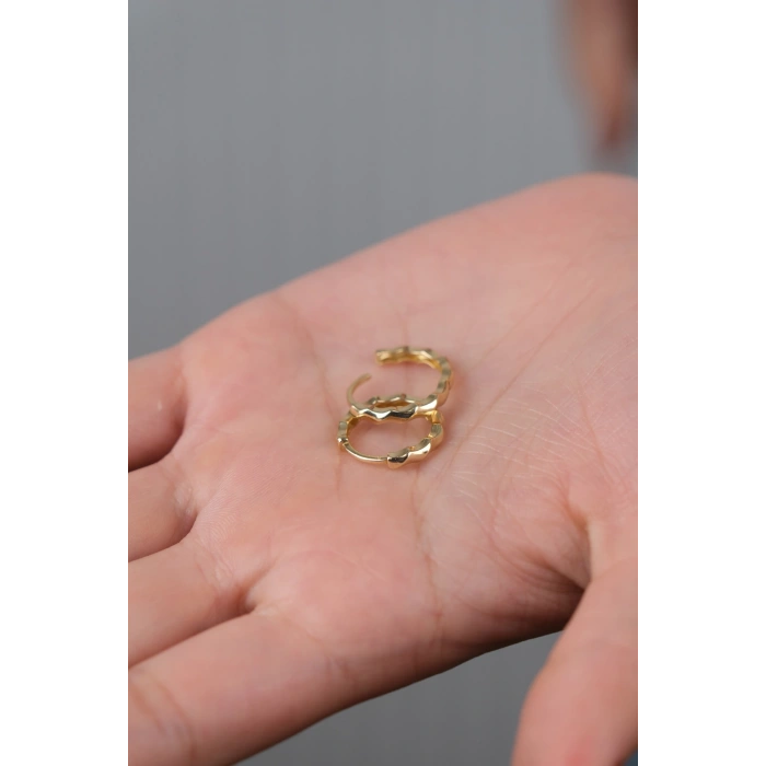 14 Ayar Altın Şekilli Küpe 789