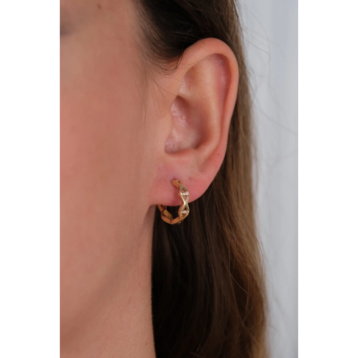 14 Ayar Altın Şekilli Taşlı Küpe 846