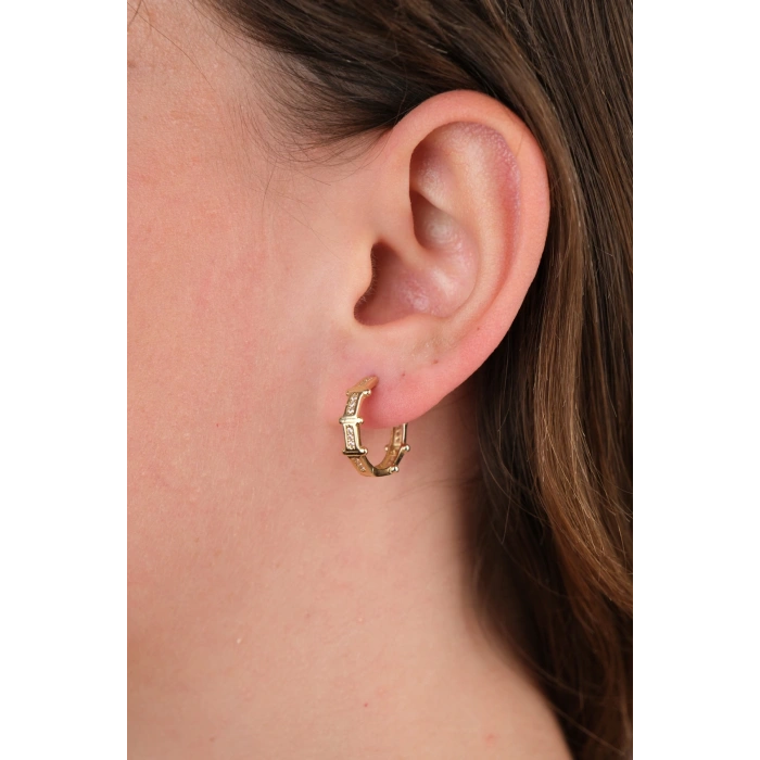 14 Ayar Altın Taşlı Halka Küpe 874