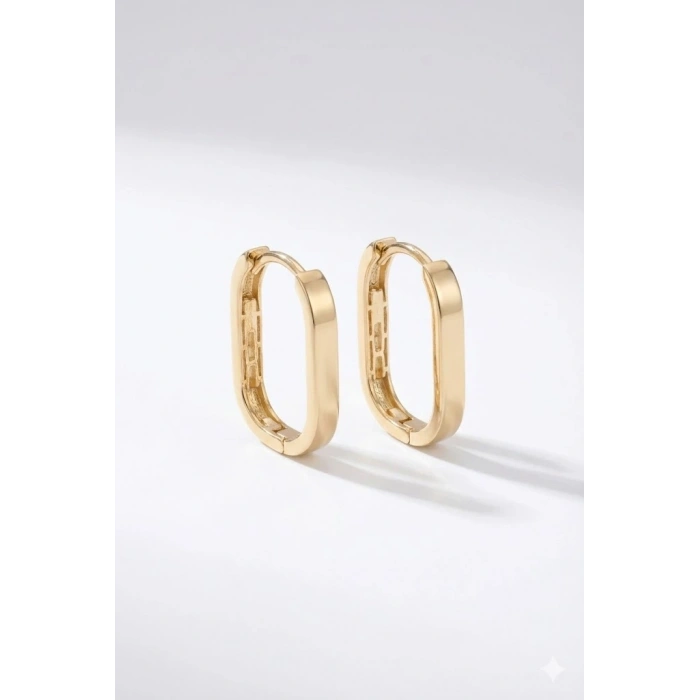 14 Ayar Altın Uzun Halka Küpe 1100